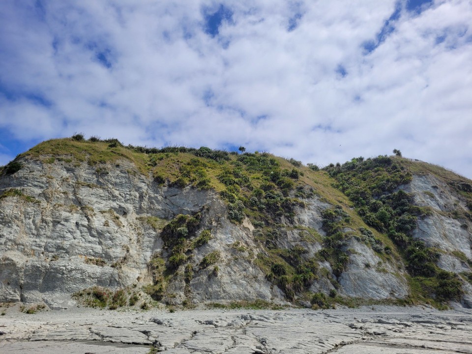 Neuseeland - Kaikoura - 