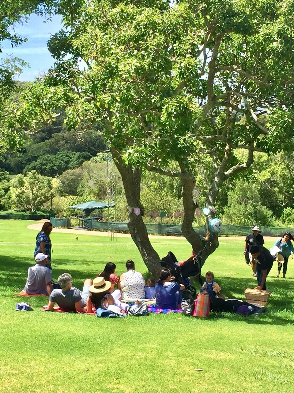 Südafrika - Cape Town - Picknick fröhliche Menschen