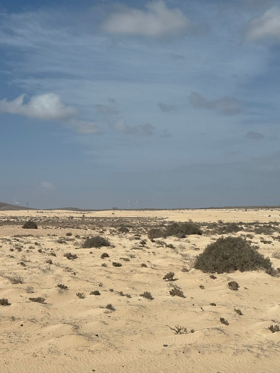 Spanien - Puerto del Rosario - 