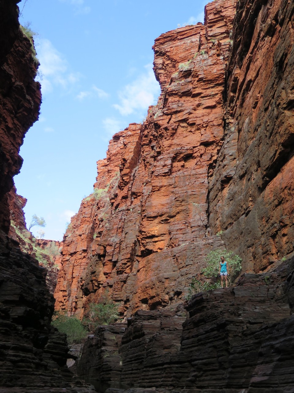 Australia - Karijini - Baignade matinale revigorante!