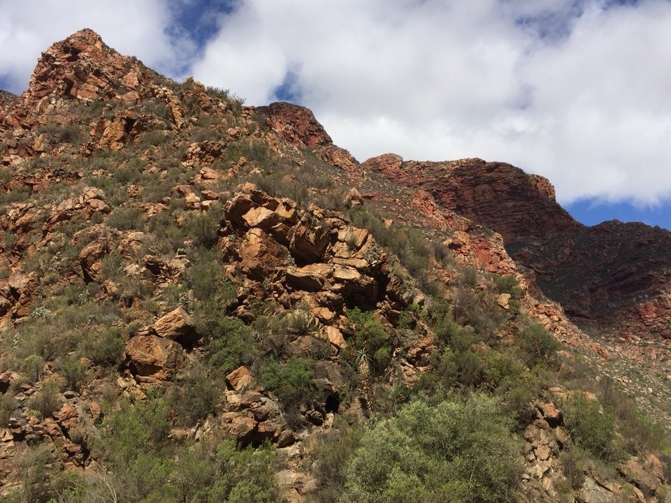 Südafrika - Oudtshoorn - 