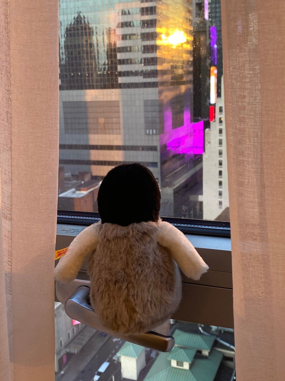 Vereinigte Staaten - New York - Fridolins erster Blick auf Manhattan