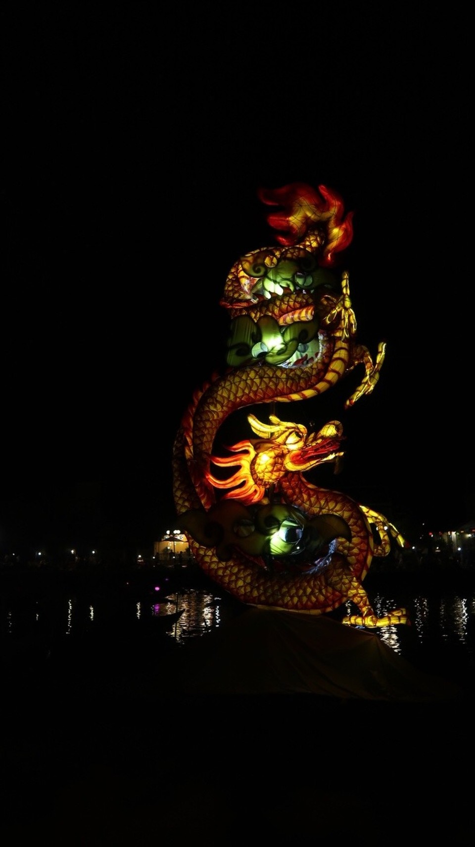 Vietnam - Hội An - ... und sonstiges Getier...