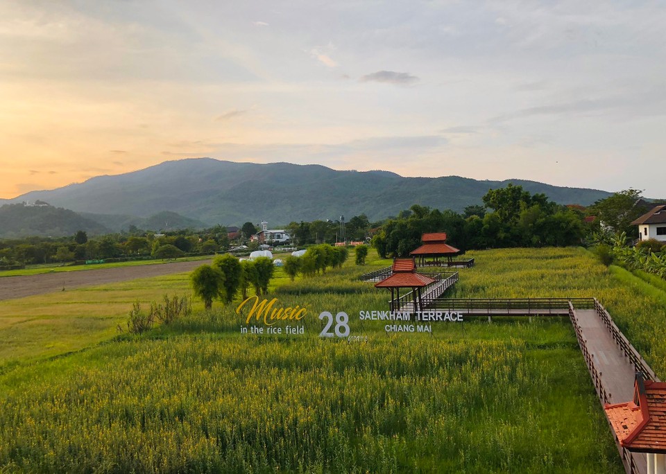 Thailand - Chiang Mai - San Kham Terrace. 🌴