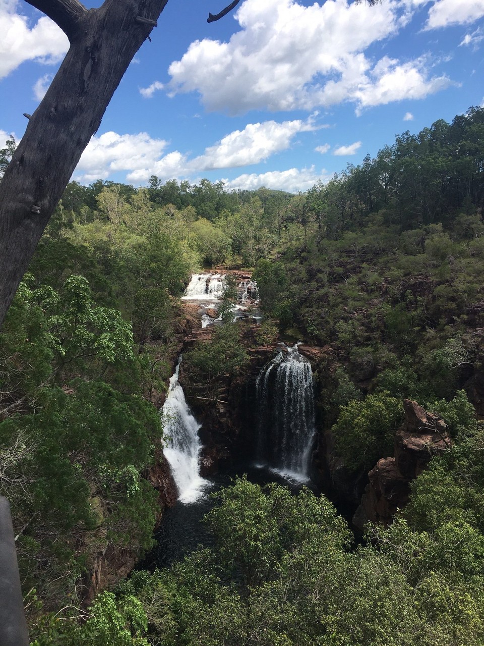 Australien - Litchfield Park - 