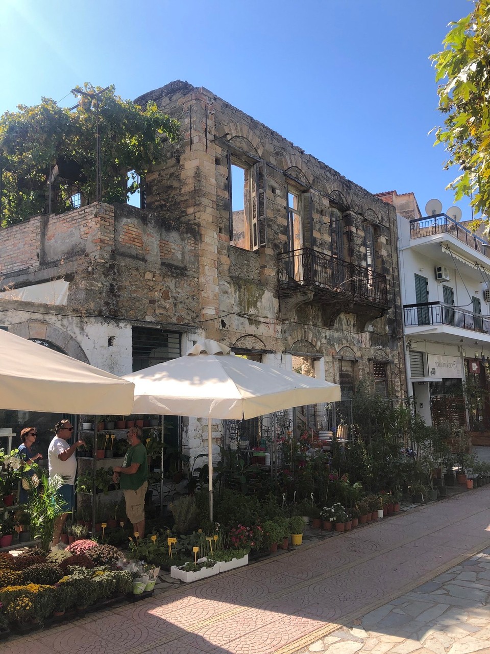 Griechenland - Kalamata - Blumengeschäft