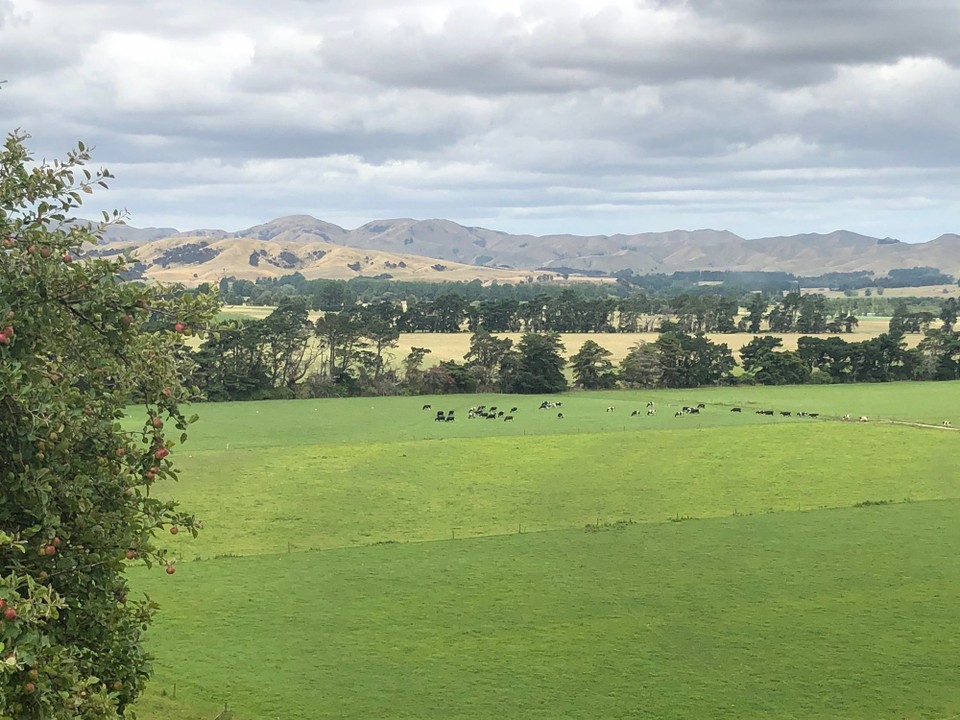 Neuseeland - Martinborough - Unglaubliche Weite in Richtung Martinborough