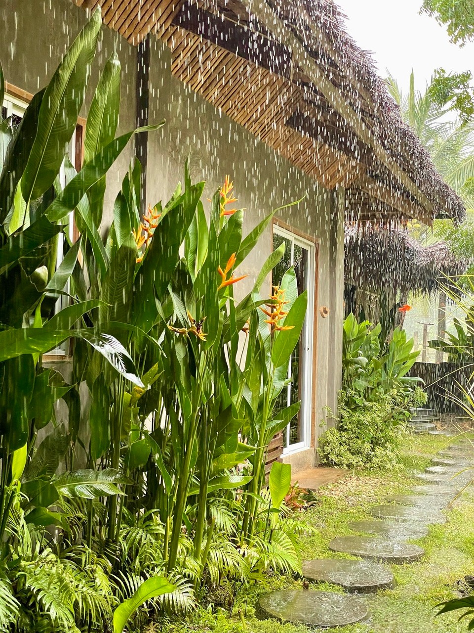 Philippinen - San Juan (Phlippinen) - 