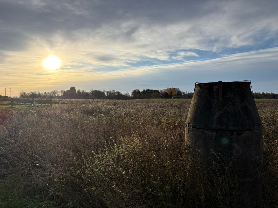 Schweden - Väddö - Guten Morgen 