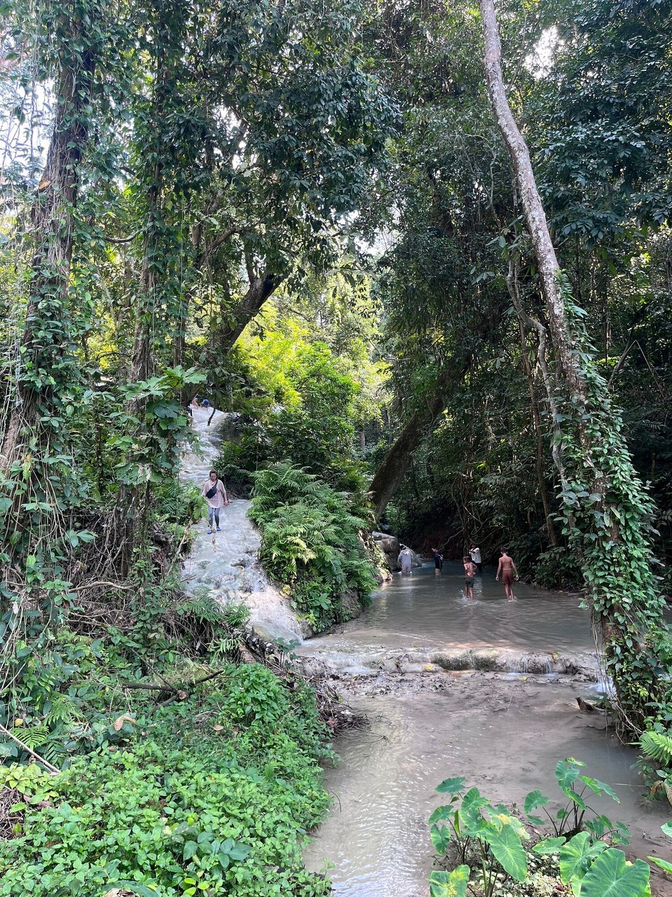 Thailand - Mueang Chiang Mai - 