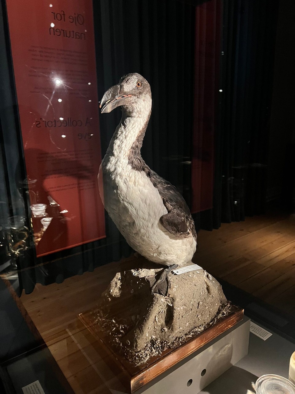 Dänemark - København K - 