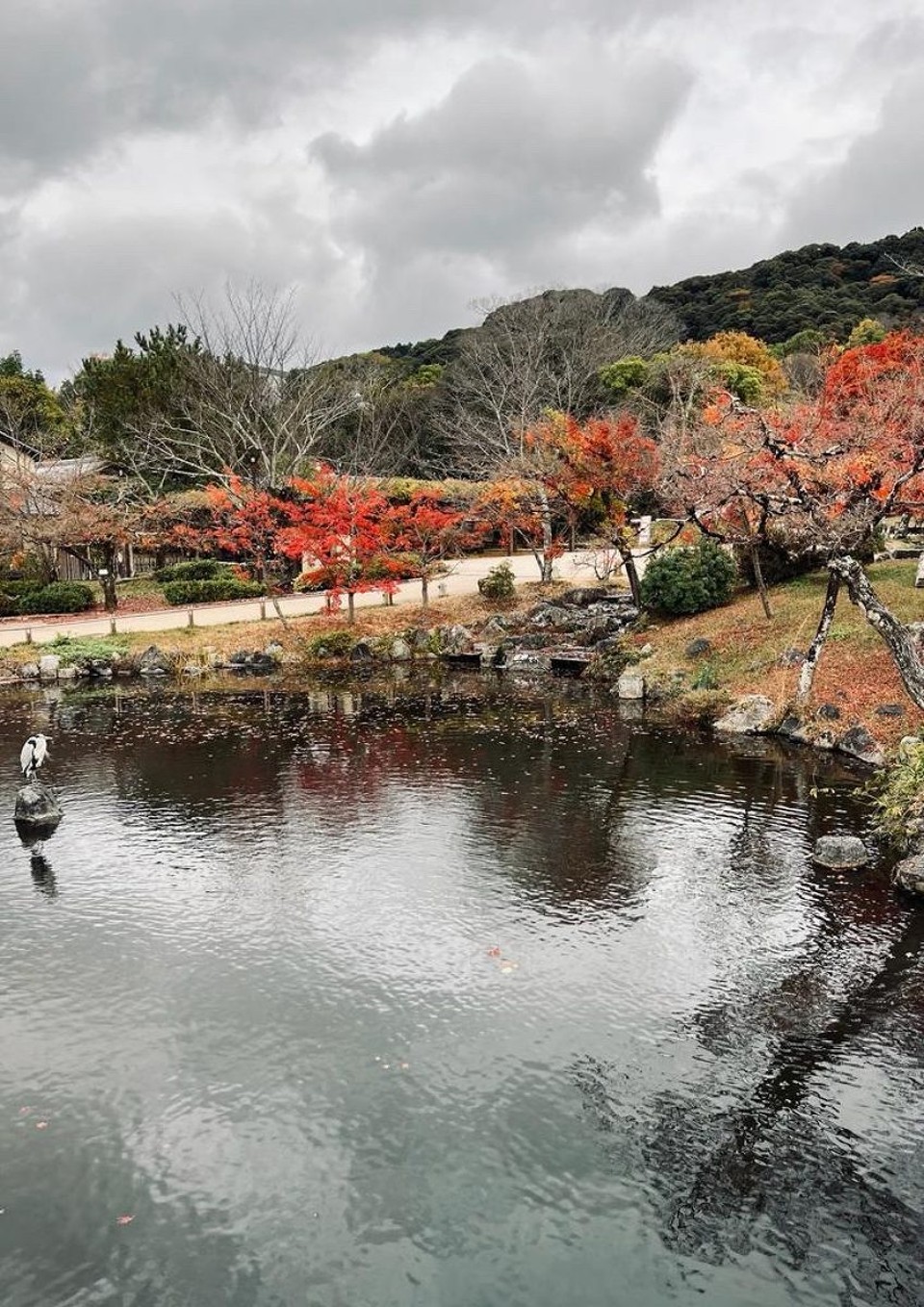 Japan - Shimogyo, Kyoto - 
