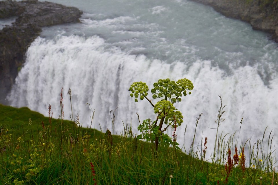 Island - Reykjavík - 