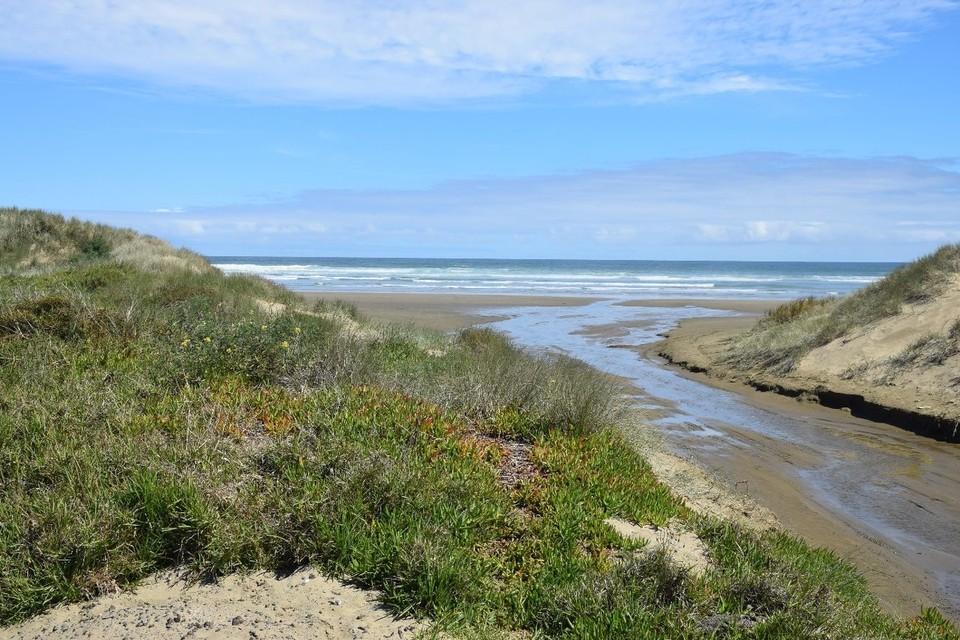 Neuseeland - Cape Reinga - 