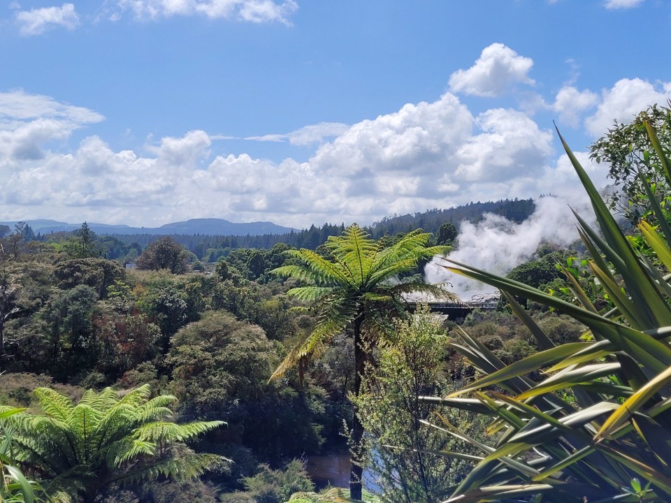 Neuseeland - Rotorua - 