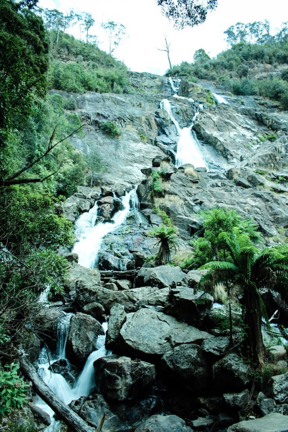 Australien - Scottsdale - St Columba Falls ...
