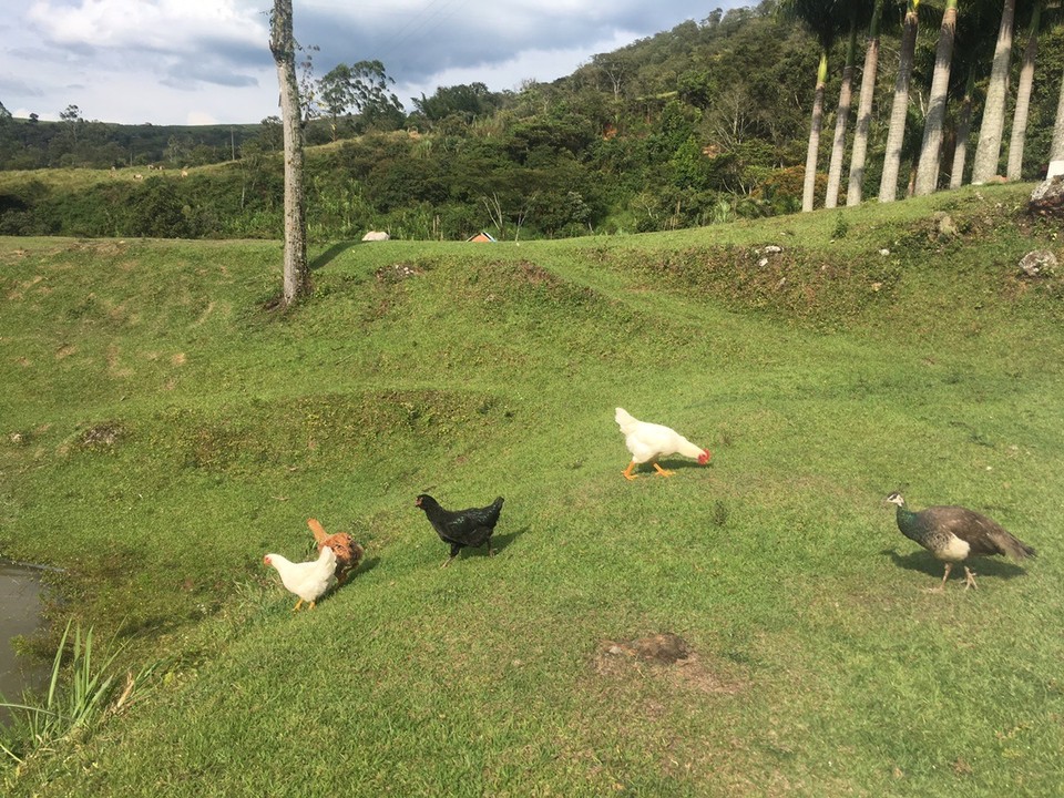  - Confines, Santander, Colombia - 