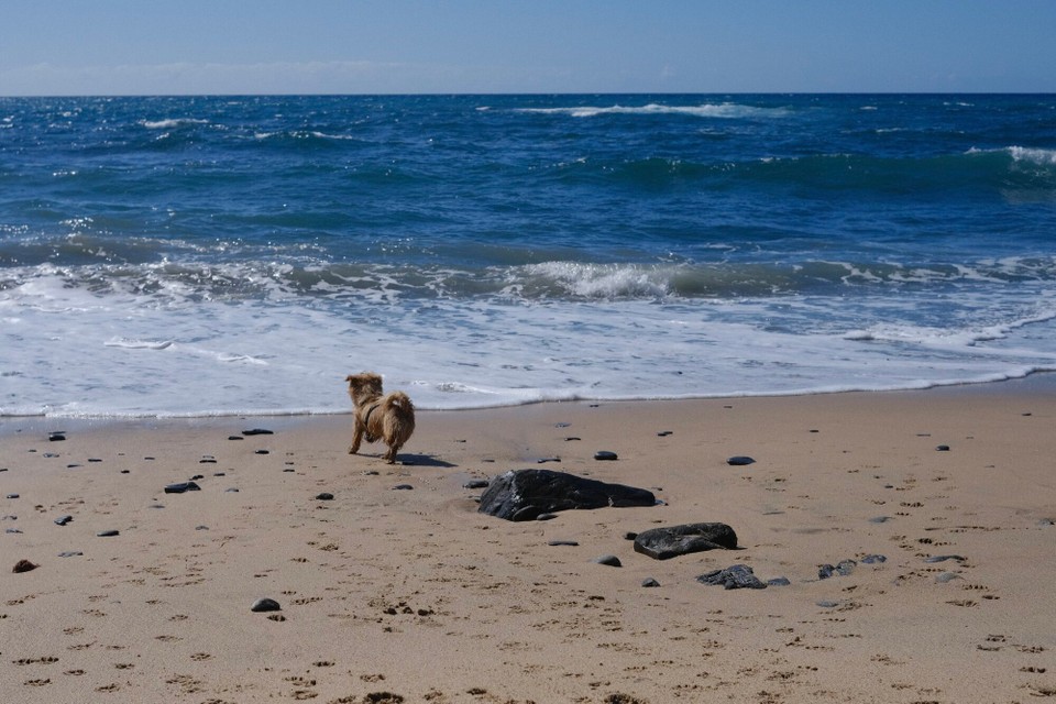 Portugal - Aljezur - 