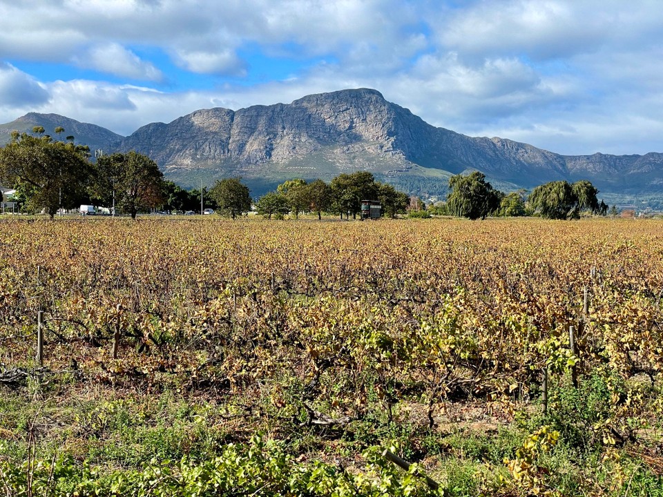 Südafrika - Franschhoek - 