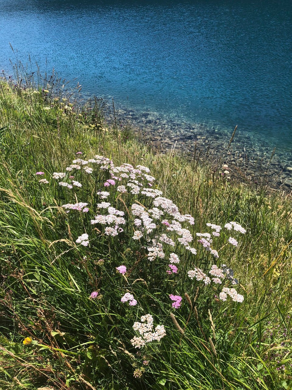 Schweiz - St. Moritz - 