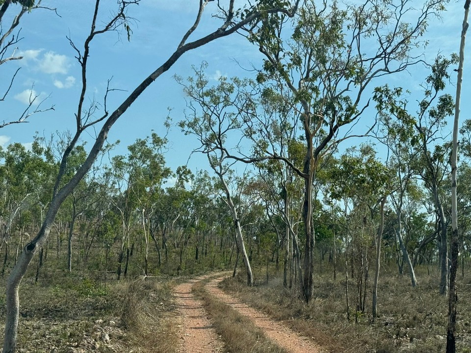 Australien - Limmen - 