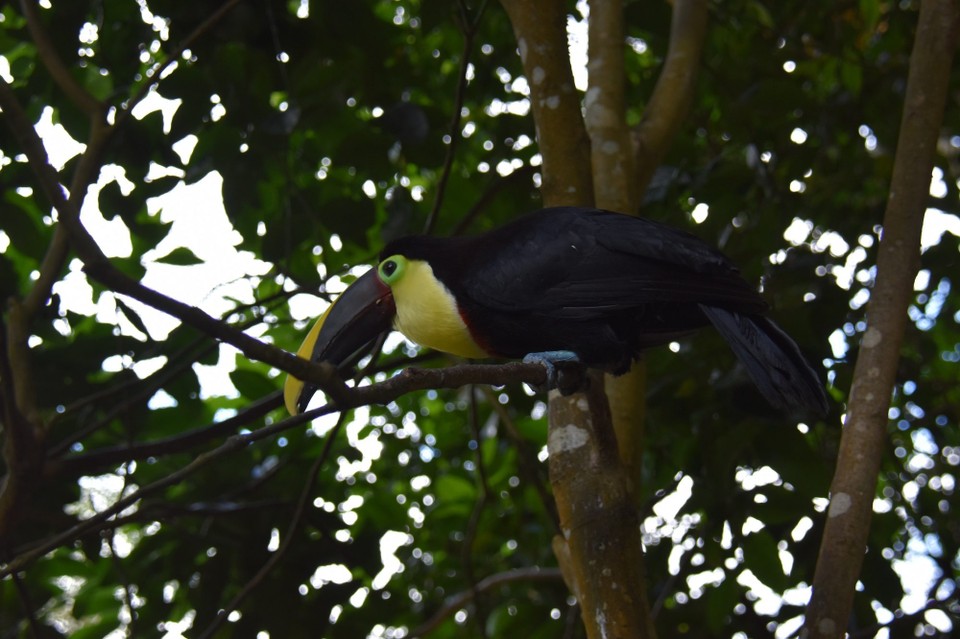 Costa Rica - San José - 