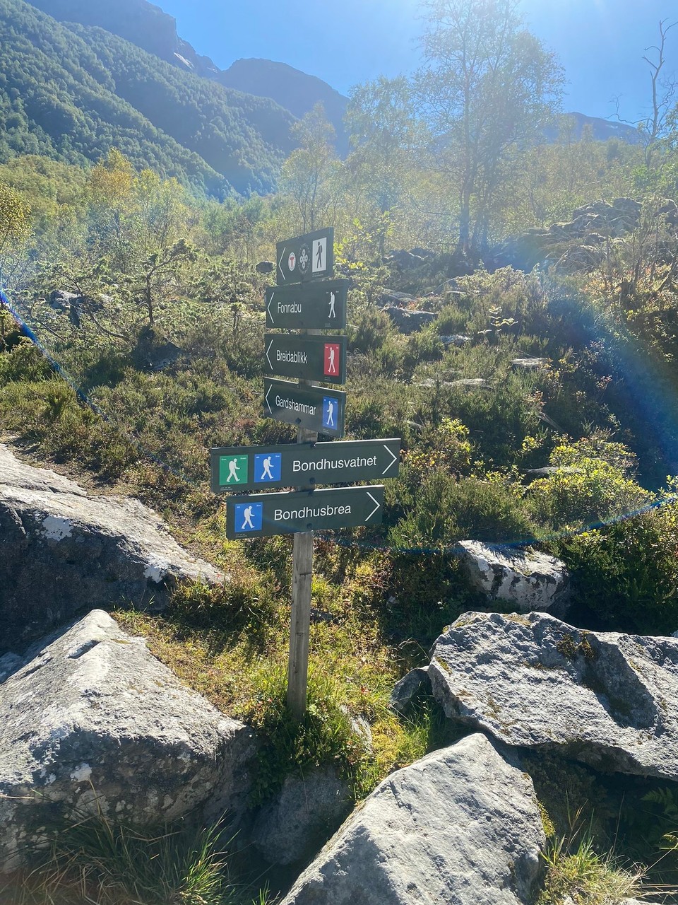 Norwegen - Mauranger - Bis zum Gletscher selbst wären es ca 10 h Wanderung gewesen. Ohne Hunde! Denn mit   Unserem Trödeltrupp brauch man für 5 km 2 ½ Stunden 🙈 
Jeder Grashalm und jeder Baum muss untersucht werden! 
