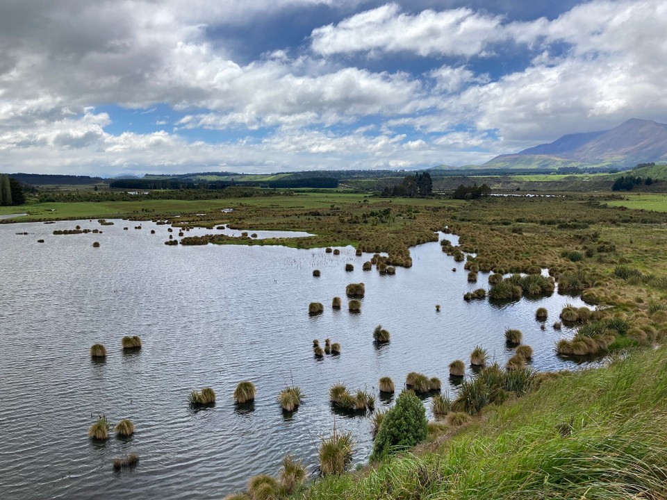 Neuseeland - Manapouri - Und am Nachmittag ist Zeit für einen Ausflug 😎
Es geht zu den Rakatu Wetlands