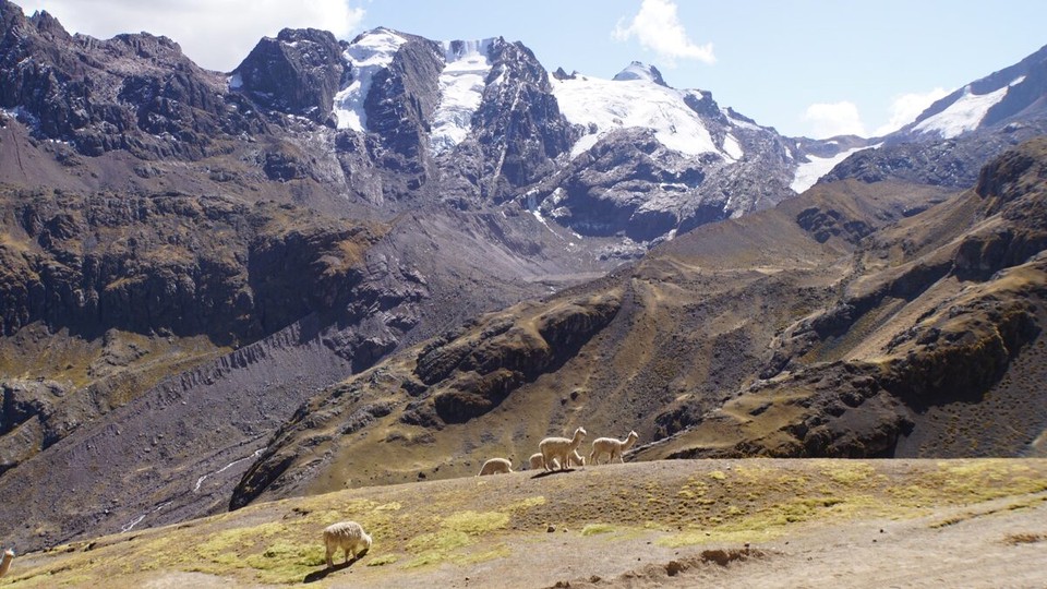 Peru -  - Gletscher sind auch hier auf dem Rückzug, dennoch imposant