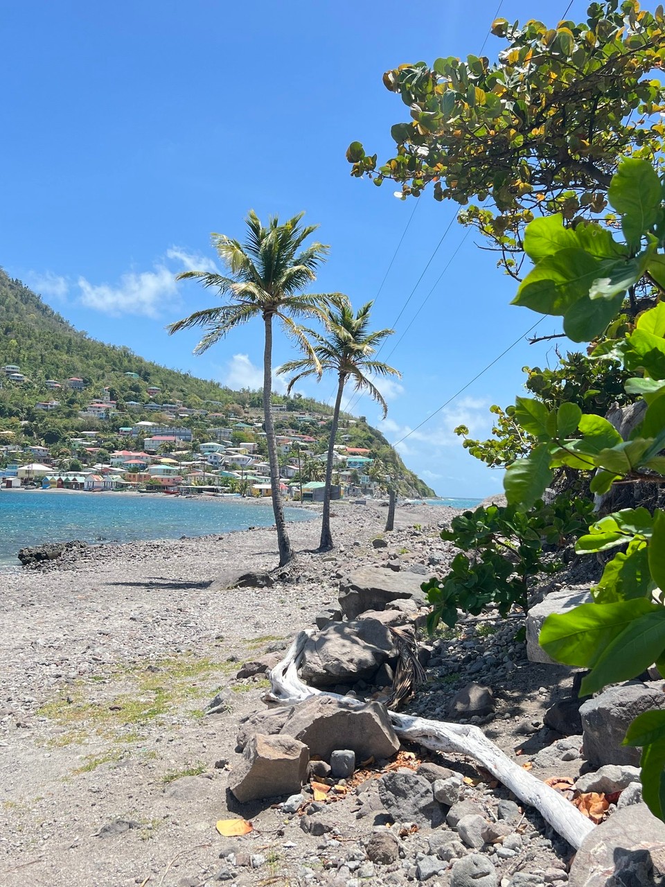 Dominica -  - 