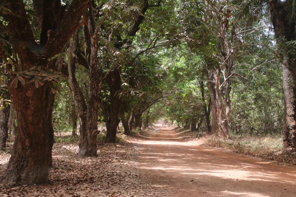 Guinea-Bissau - Cacheu - Unterwegs