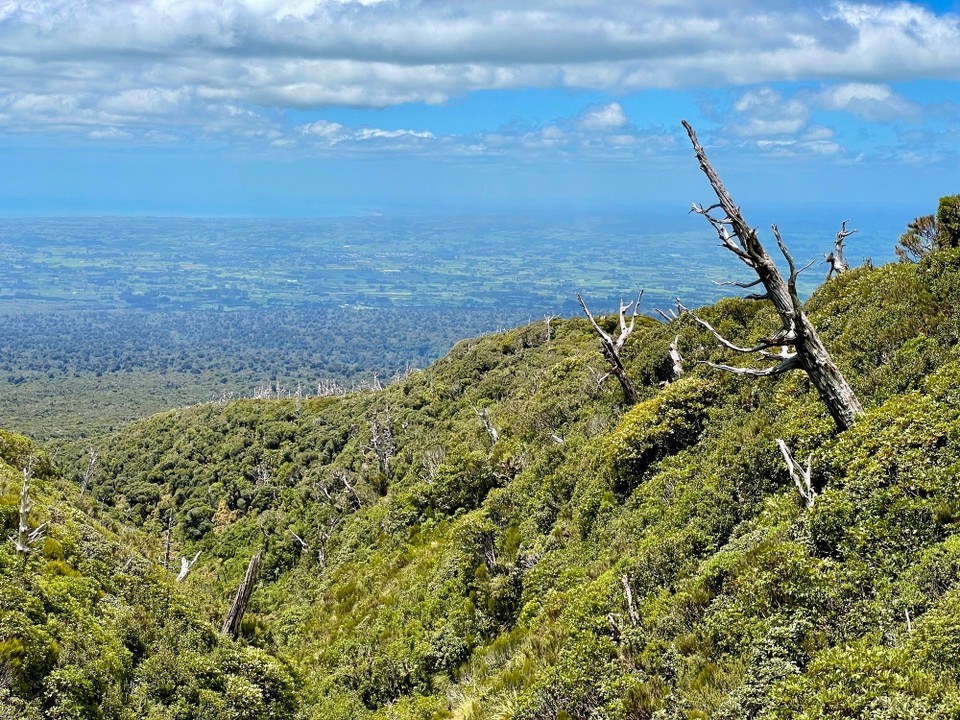 Neuseeland - Egmont National Park - 