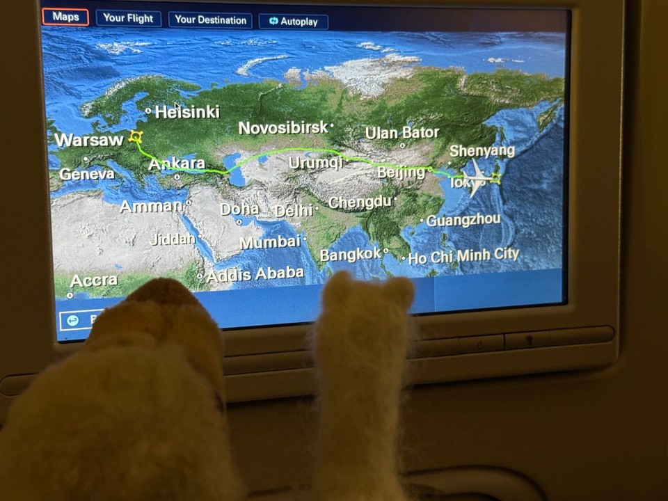 Japan - Chiyoda - Die Reisen mit den beiden werden ja immer weiter