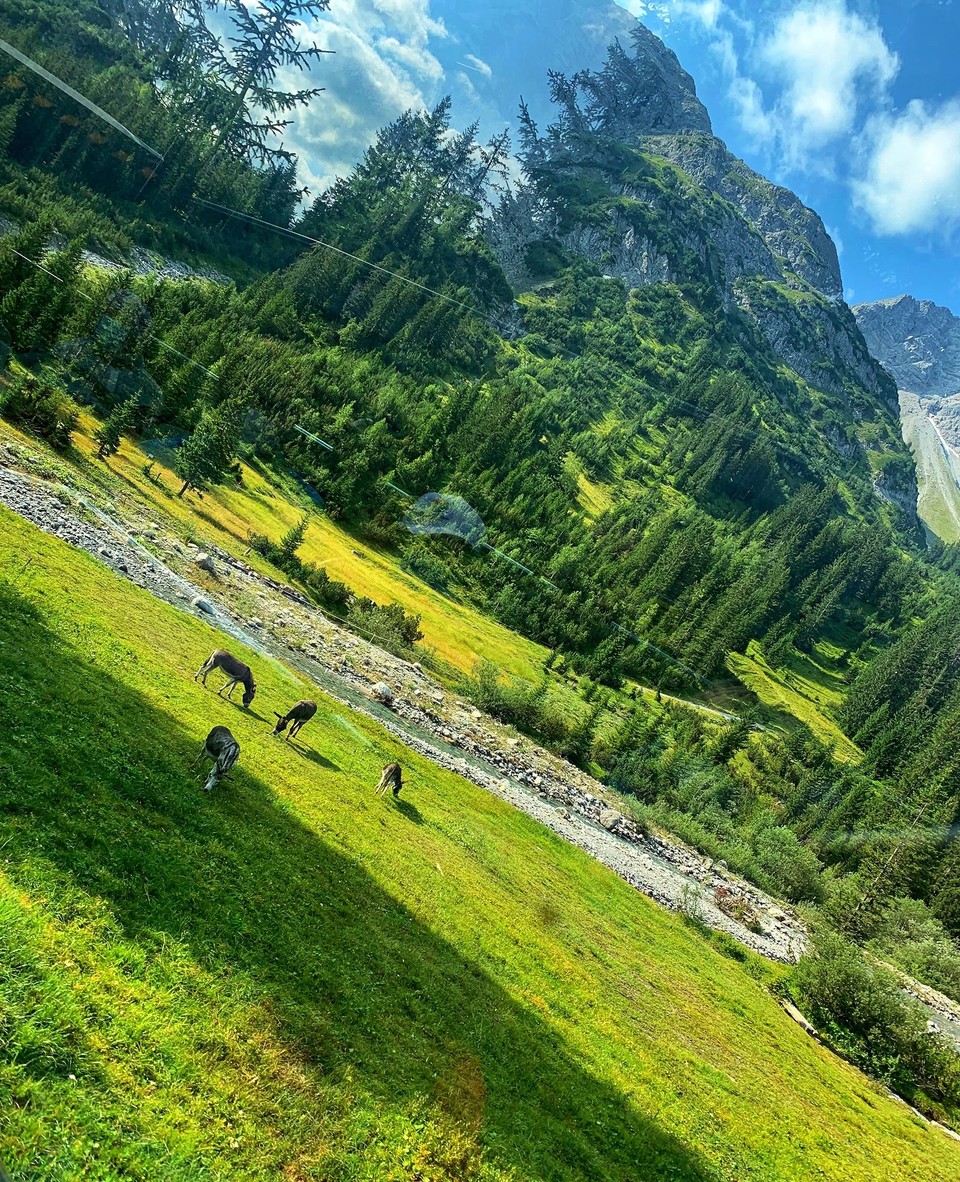 Österreich - Lech - 