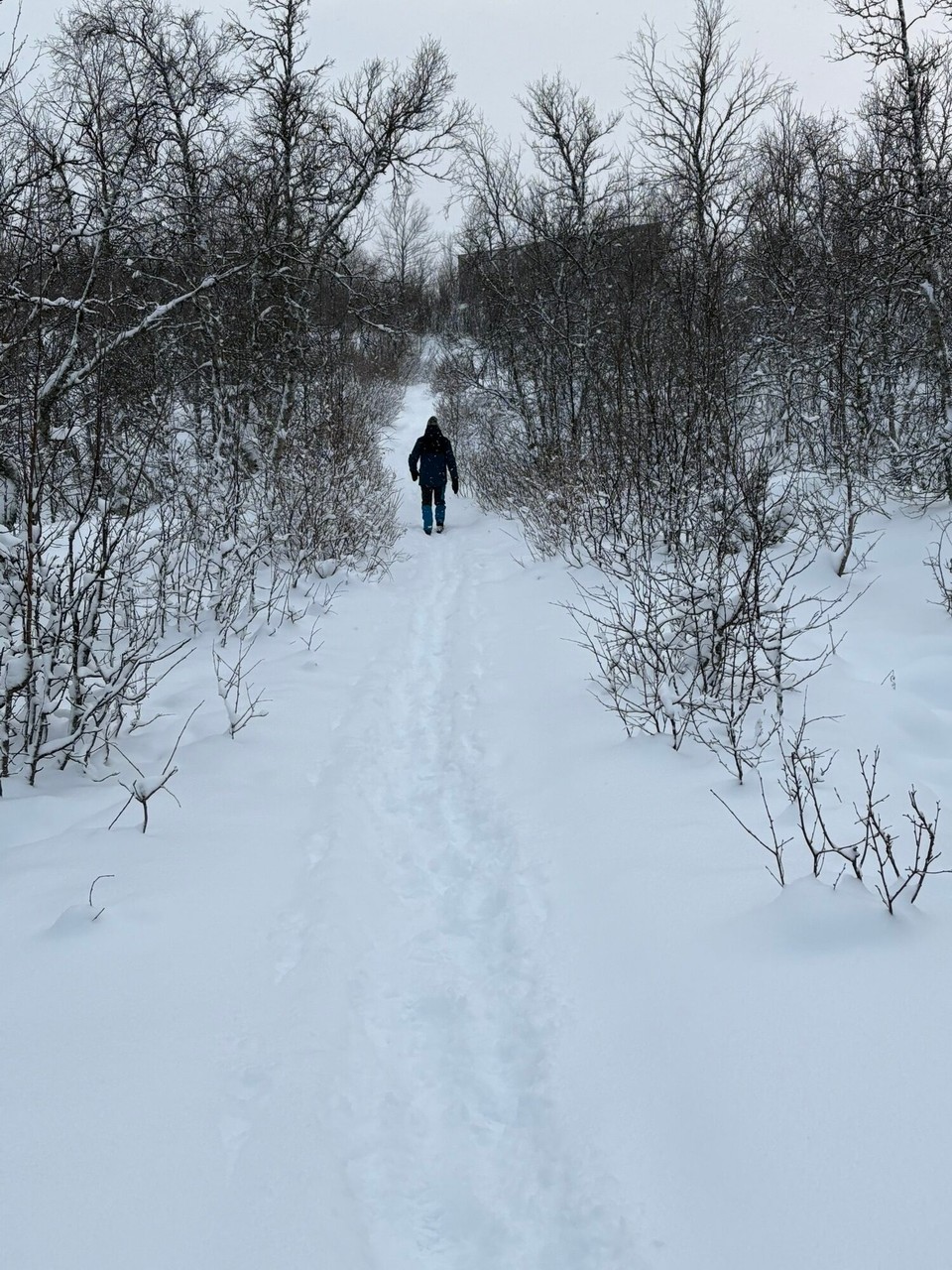 Schweden - Kiruna - Heute morgen erst mal kleine Schneewanderung