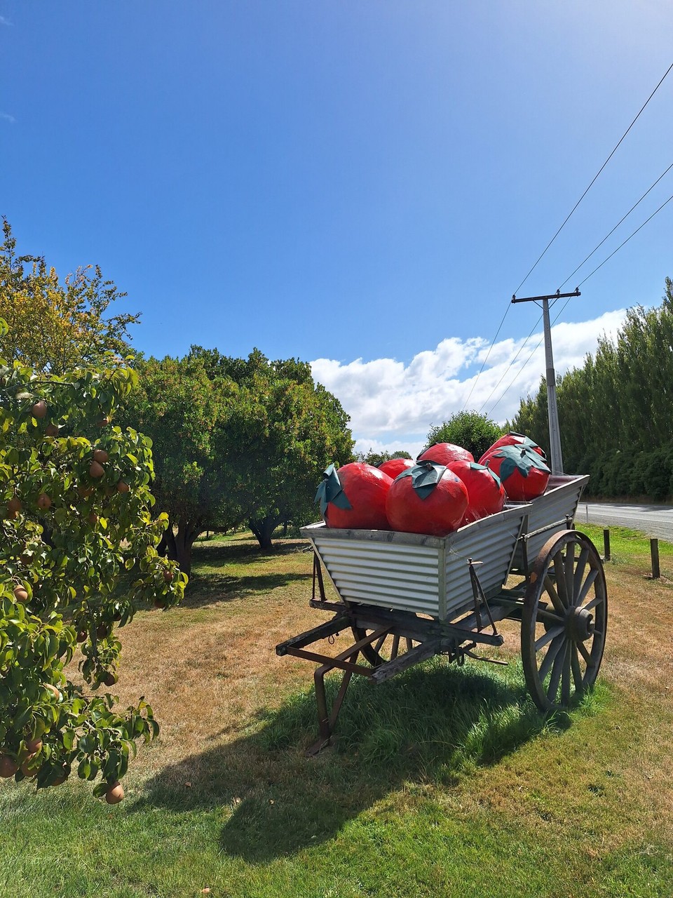 Neuseeland - Dunedin - 