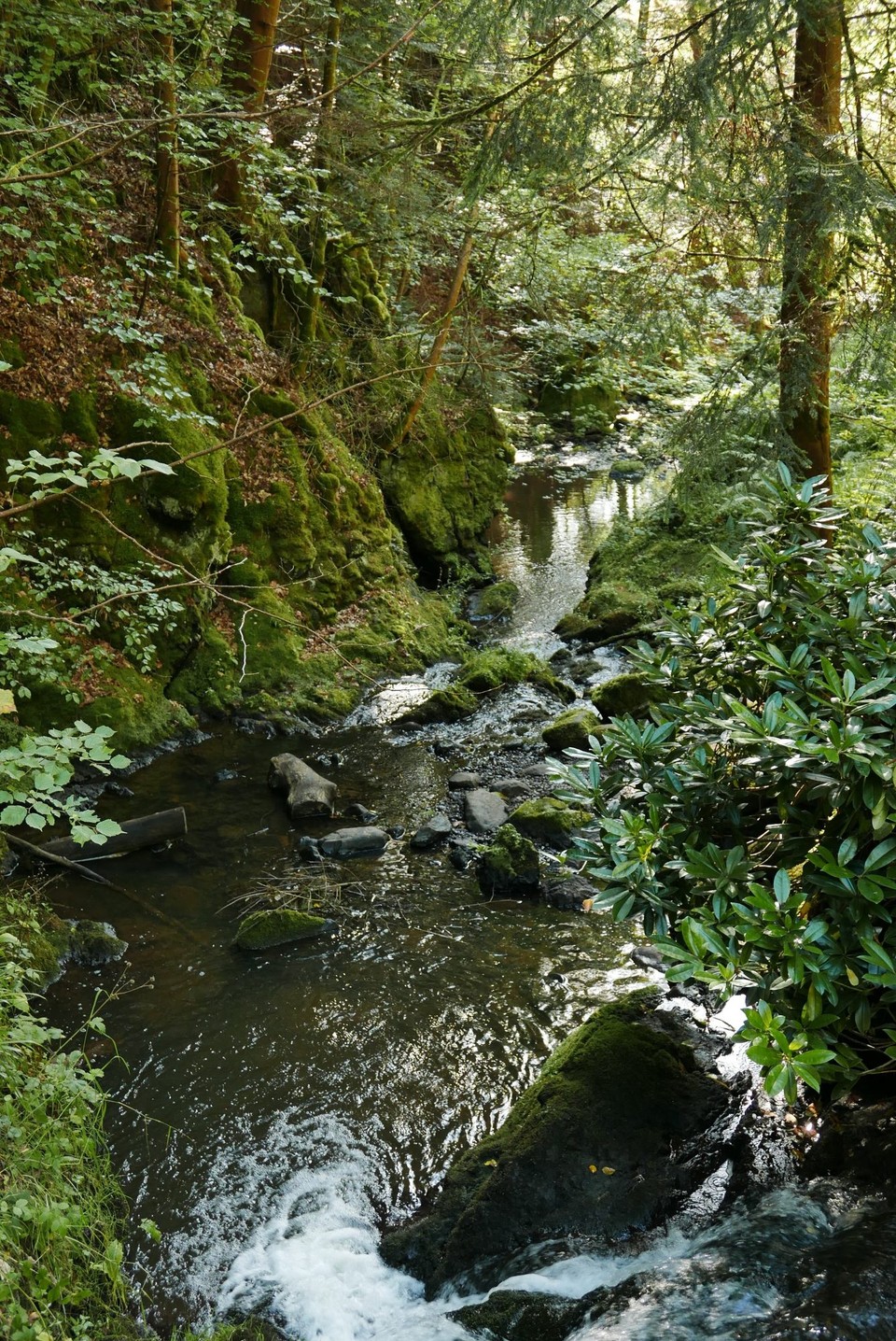 Vereinigtes Königreich - Inverness - Fairyglen....