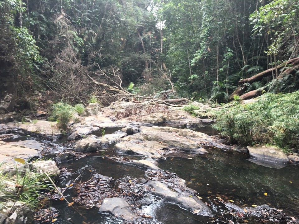 Ausztrália - Kuranda - 