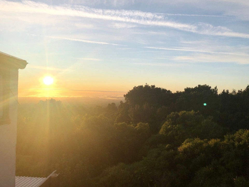 Neuseeland - Waitomo-Distrikt - Morgenstimmung aus unserem Zimmer