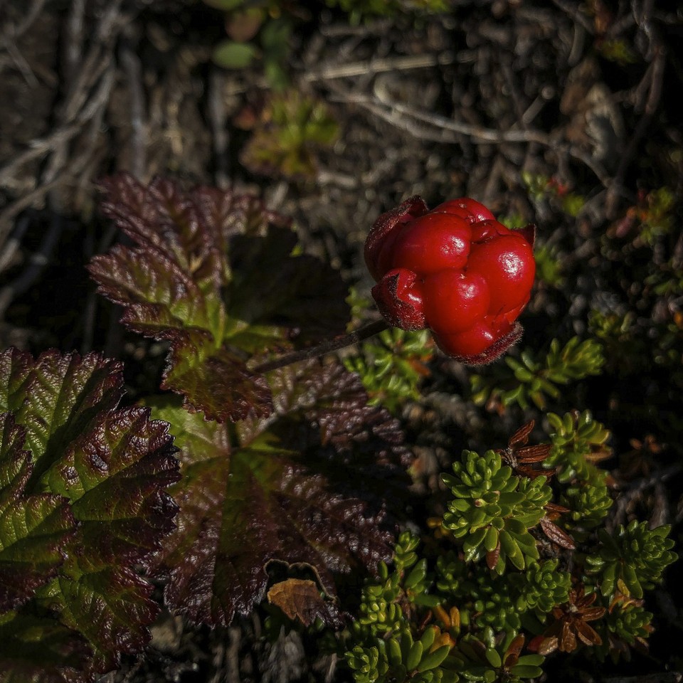 Norwegen - Stø - 