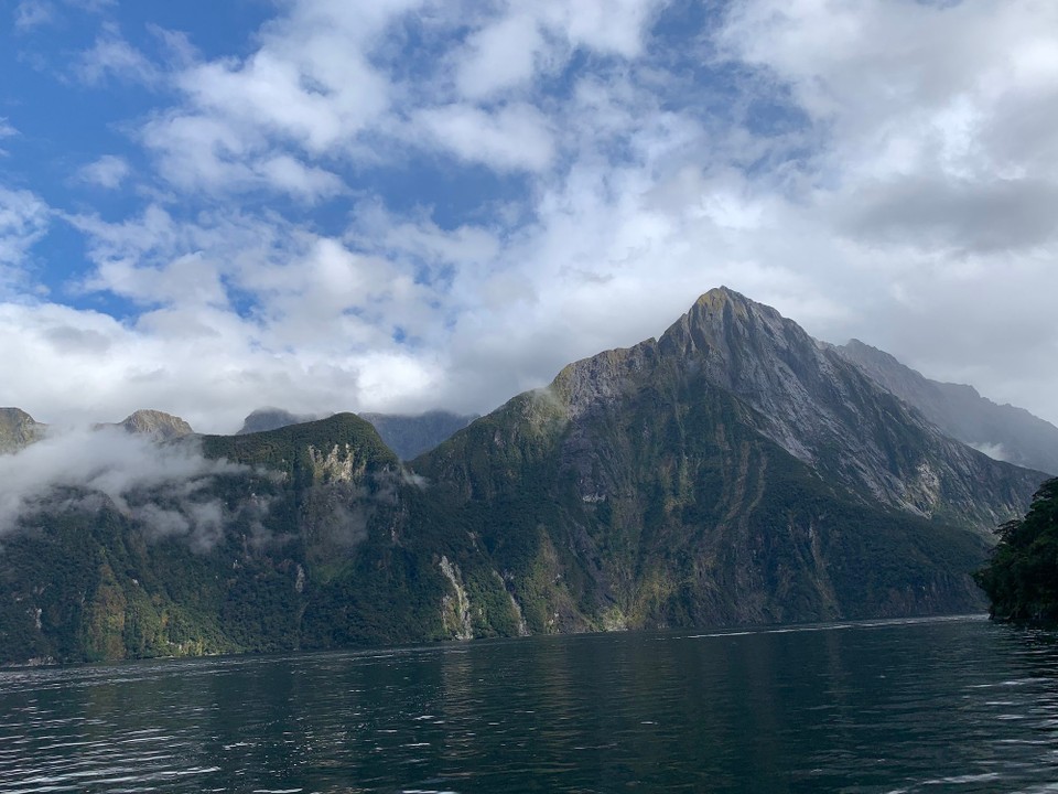 Neuseeland - Milford Sound - Danach zum Terminal gelaufen um eine Tour „Milford Sound“ zu buchen 3 Stunden inklusive des Observation Camp. 