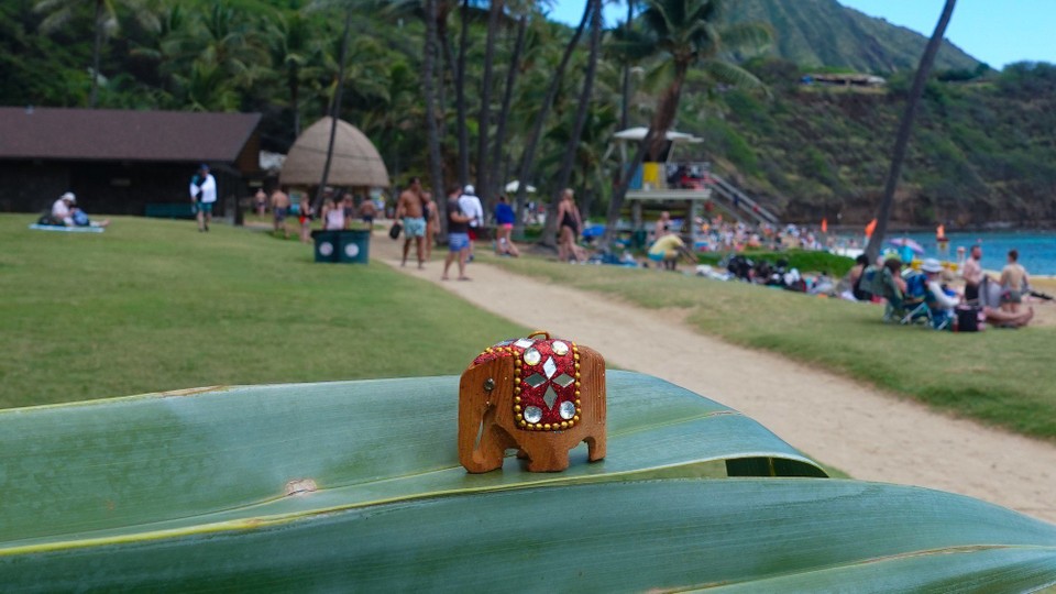 USA - Honolulu - Und natürlich Eleonor.