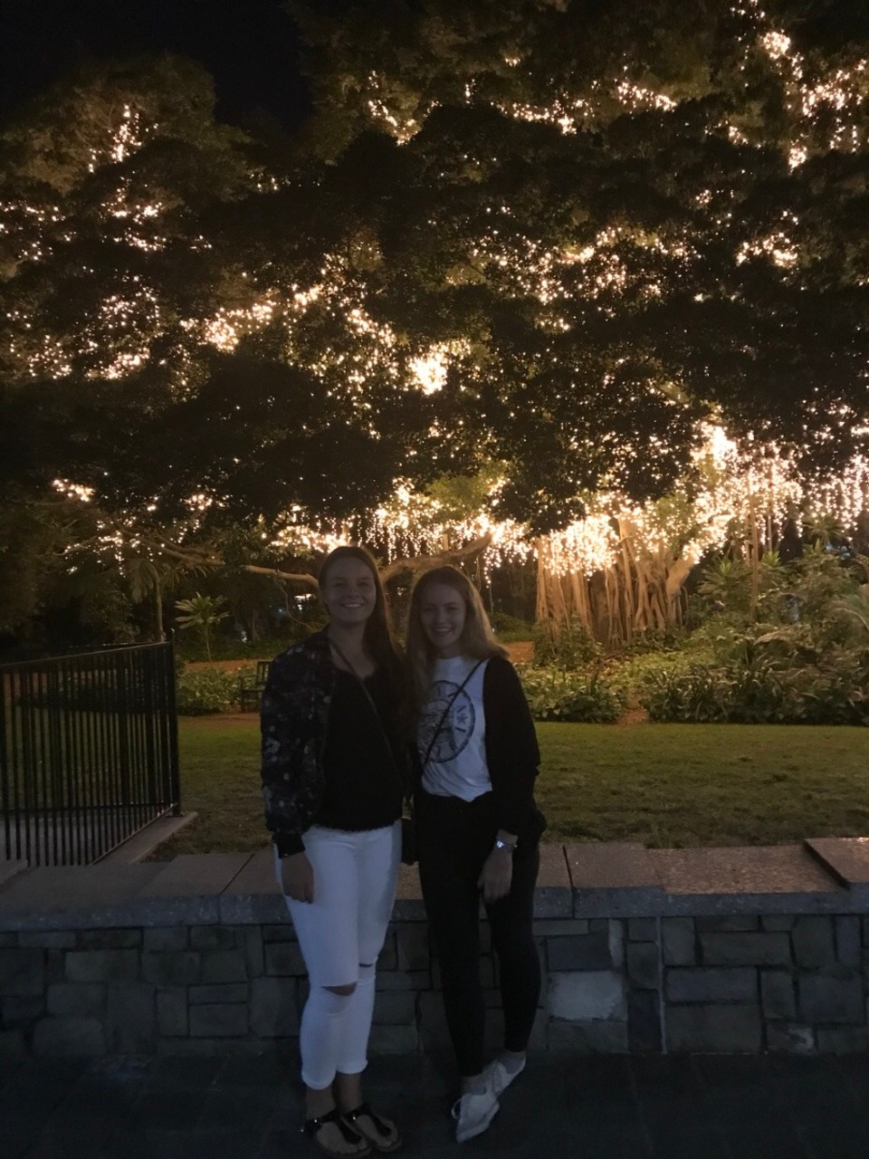 Australien - Brisbane - Glowing in the dark 🌳💡
Be happy to meet you 👭