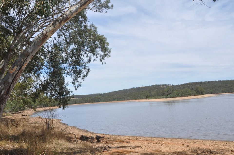 Australien - Lyndoch - Unterwegs Rast an einem See
