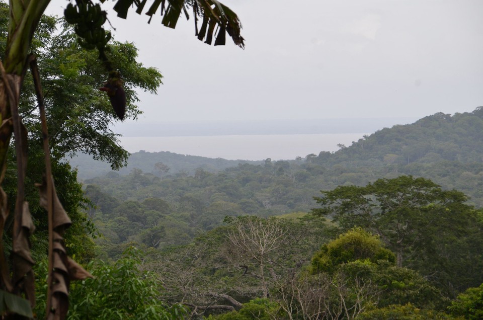 Brasilien - Alter do Chão - Tapajosurwald mat Vue op den Tapajosfloss