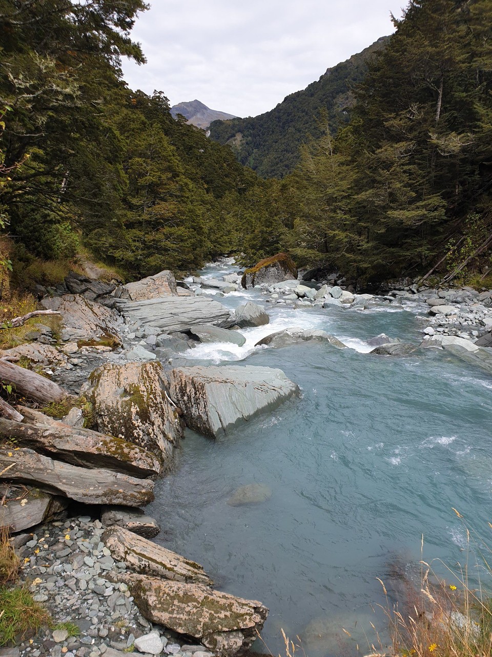 Neuseeland - Wanaka - 