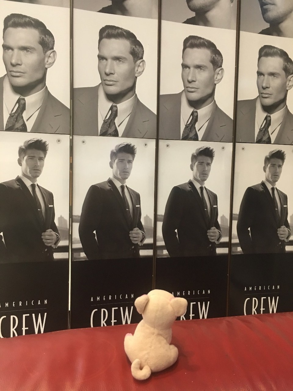 Neuseeland - Auckland - Wie soll ich mich stylen?