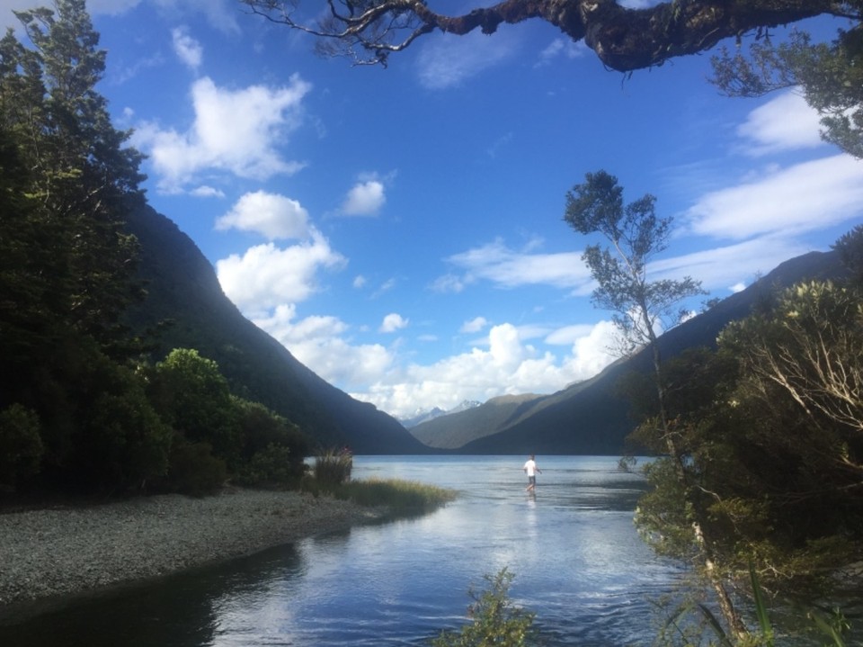 Neuseeland - Cascade Creek - 