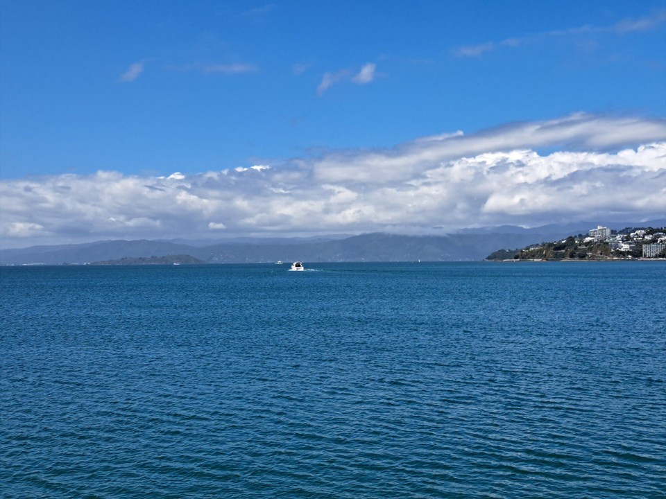 Neuseeland - Wellington - 