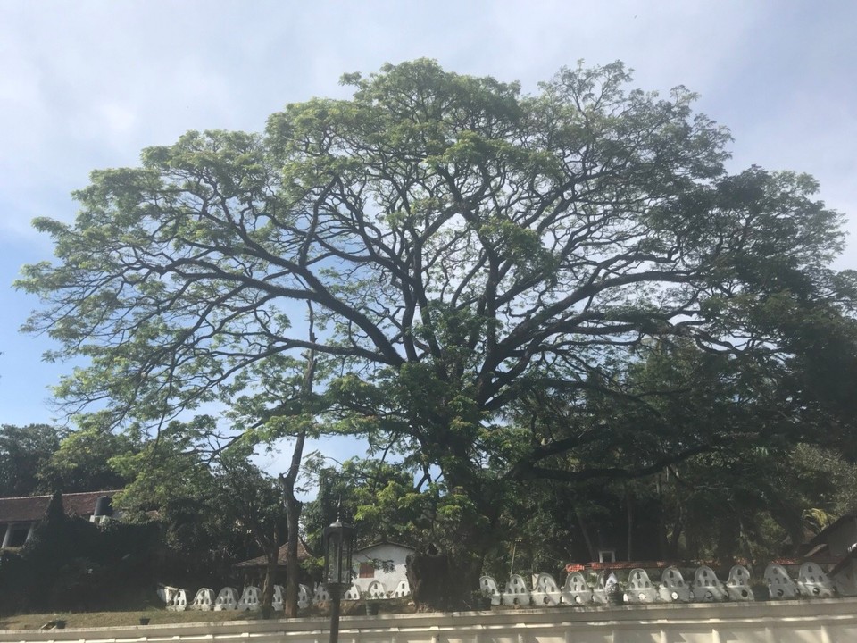 Sri Lanka -  - 